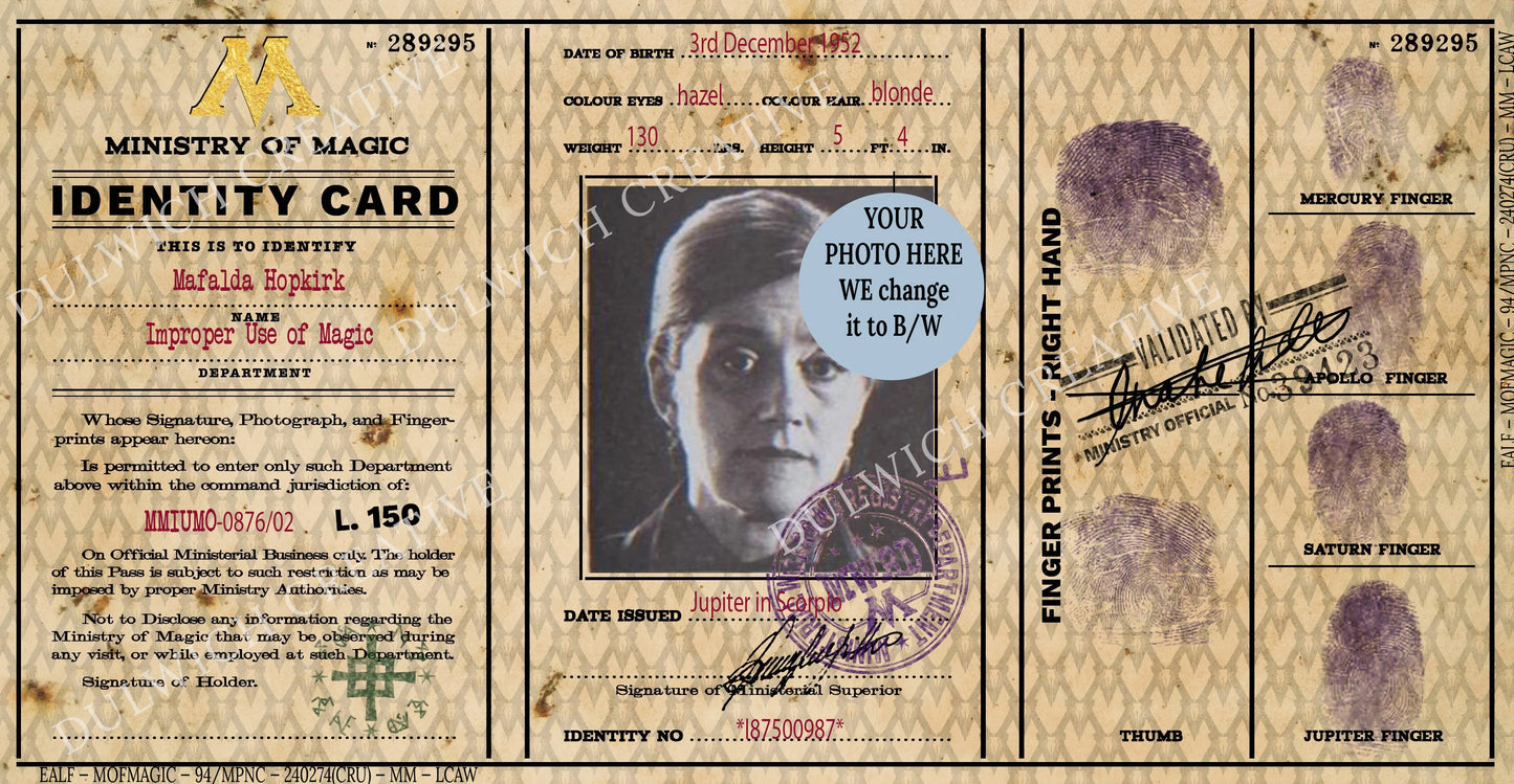 Harry Potter Ministry of Magic ID Card