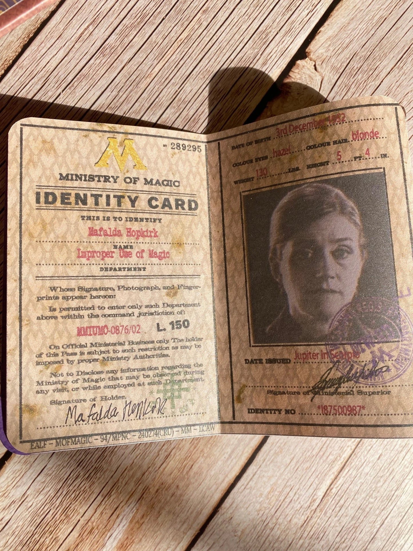 Harry Potter Ministry of Magic ID Card